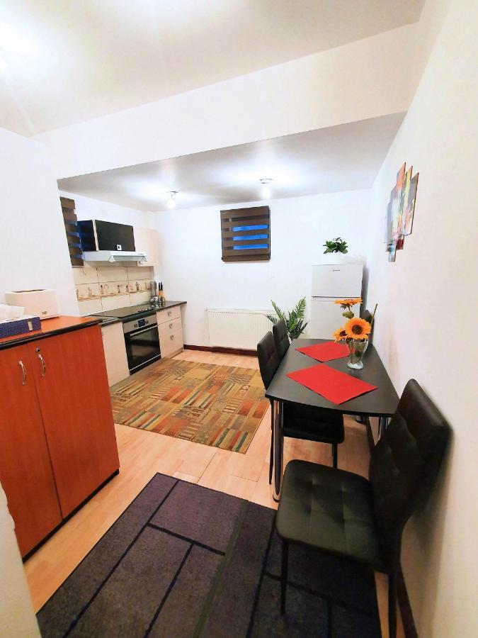 Best Choice Studio Apartment Sinaia Exterior photo